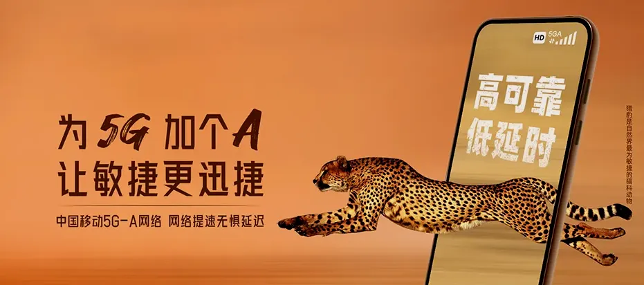 仙游县仙游县石苍乡 移动宽带移动宽带办理资费表